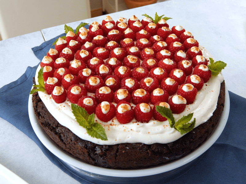 Chocolate Raspberry Mango Cake