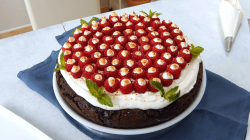 Chocolate Raspberry Mango Cake