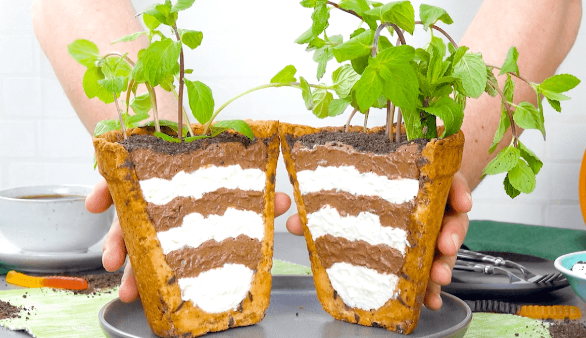 Cookie Flower Pot Cake Cookie Flower Pot Cake