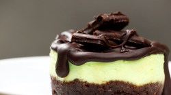 Mini Mint Chocolate Cheesecakes